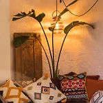 Hotel Cabbana Lara