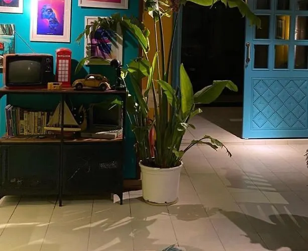 Cabbana Lara